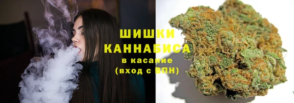 спиды Вяземский
