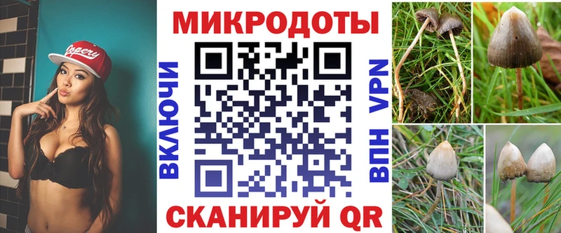 Псилоцибиновые грибы мицелий  Купить закладки  Невьянск 